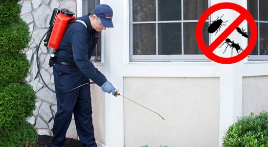 Dumlupınar Böcek İlaçlama böcek ilaçlama ve haşere kontrolü — ilaclama-tr.com